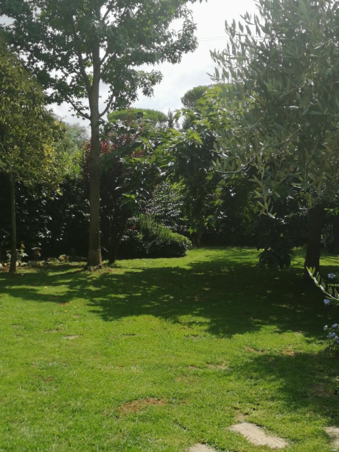 Villa MASSAROSA vendita  Piano del Quercione  Studio Immobiliare La Soffitta