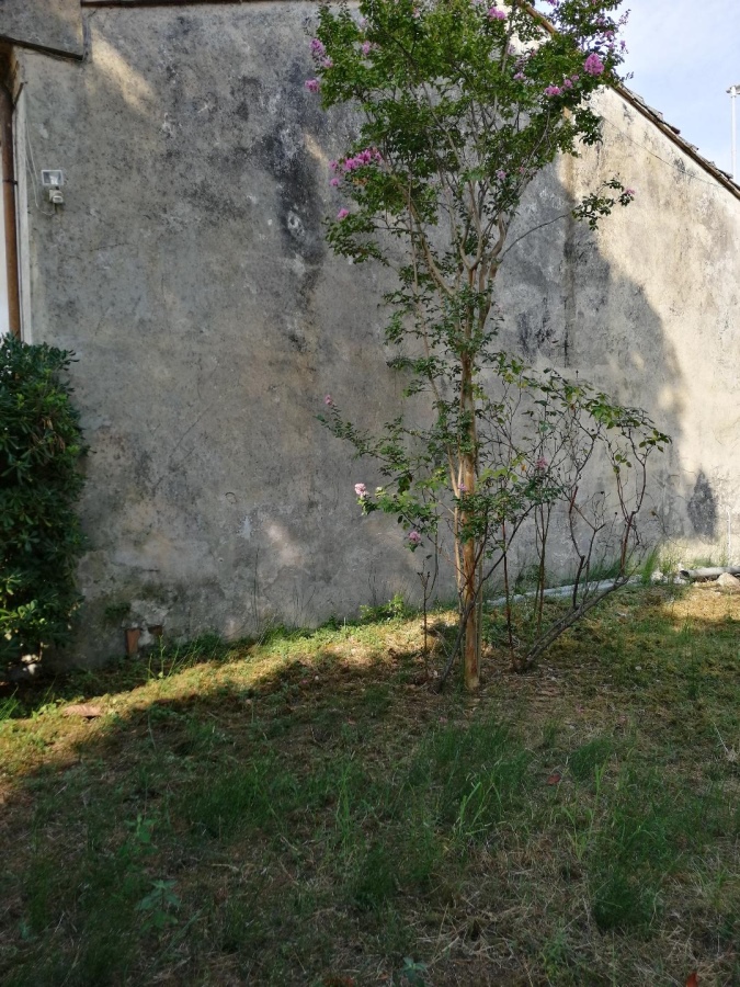 Villa VIAREGGIO vendita  Viareggio  Studio Immobiliare La Soffitta